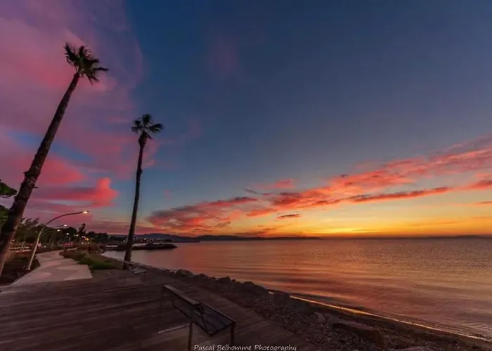 T2 Cocon A 2 Min De La Clim, Wi-fi & Equipe アパート イエール